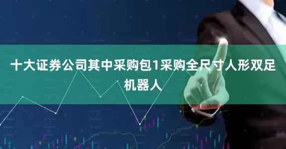 十大证券公司其中采购包1采购全尺寸人形双足机器人